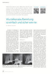issueImage