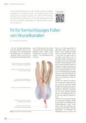 issueImage