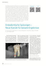 issueImage