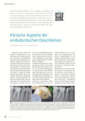 issueImage