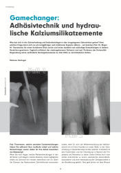issueImage