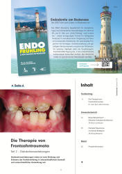 issueImage