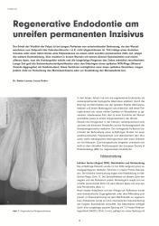 issueImage