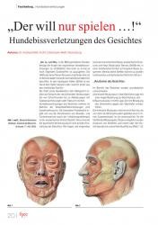 issueImage