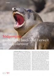 issueImage