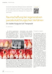 issueImage