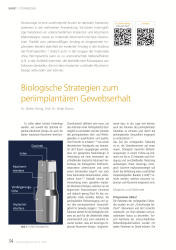 issueImage