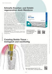 issueImage