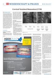 issueImage