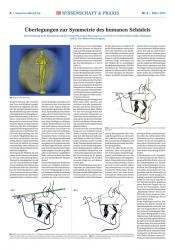 issueImage