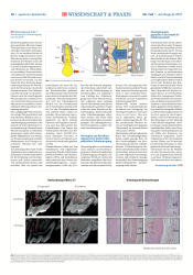issueImage