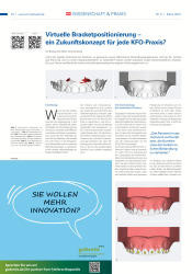 issueImage