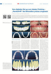 issueImage