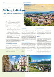 issueImage