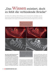 issueImage