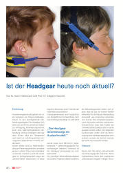 issueImage
