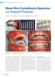 issueImage