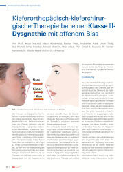 issueImage