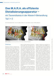 issueImage