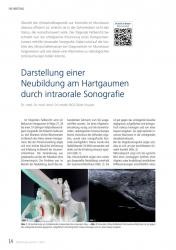 issueImage