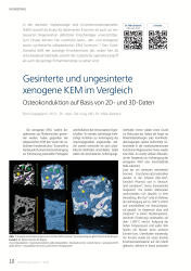 issueImage