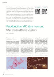 issueImage