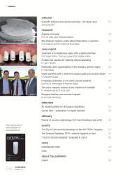 issueImage