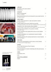 issueImage