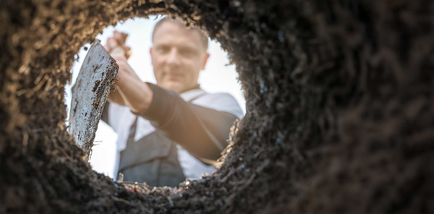 Aus Gartenprojekt wird ein Rätsel: Familie gräbt über 1.000 Knochen und Zähne aus