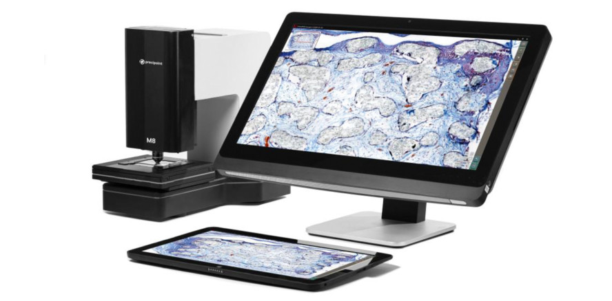 Gesinterte und ungesinterte xenogene KEM im Vergleich