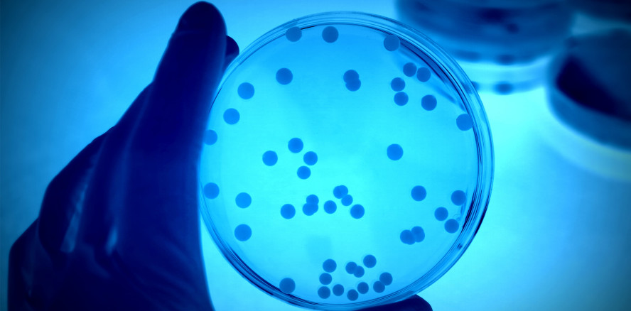 Mikrobiologische Grundlagen der PA-Therapie