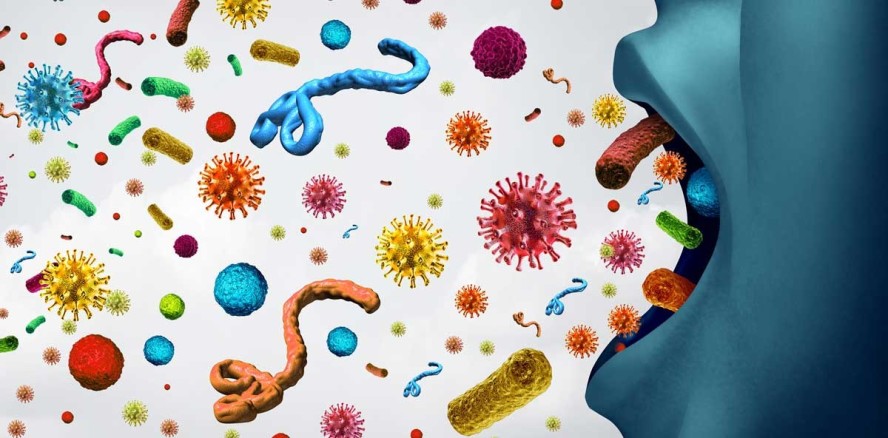 Das orale Mikrobiom