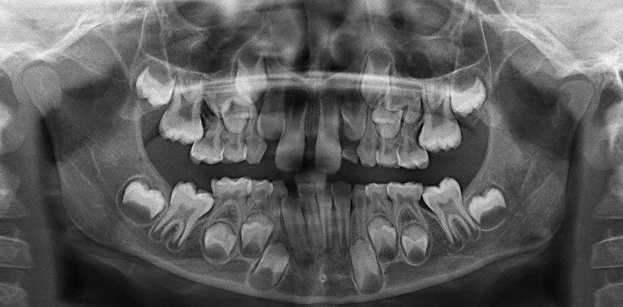 Natürlich und gesund wachsen von Anfang an