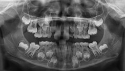 Natürlich und gesund wachsen von Anfang an