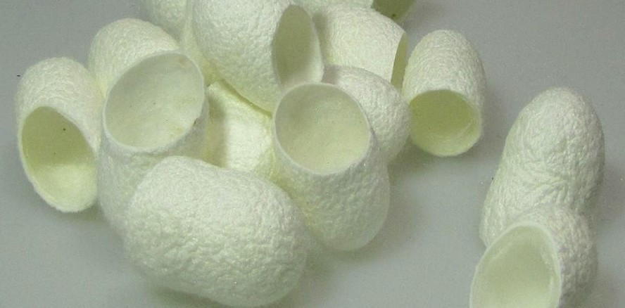 Neuartige biokompatible Materialien in der Implantologie