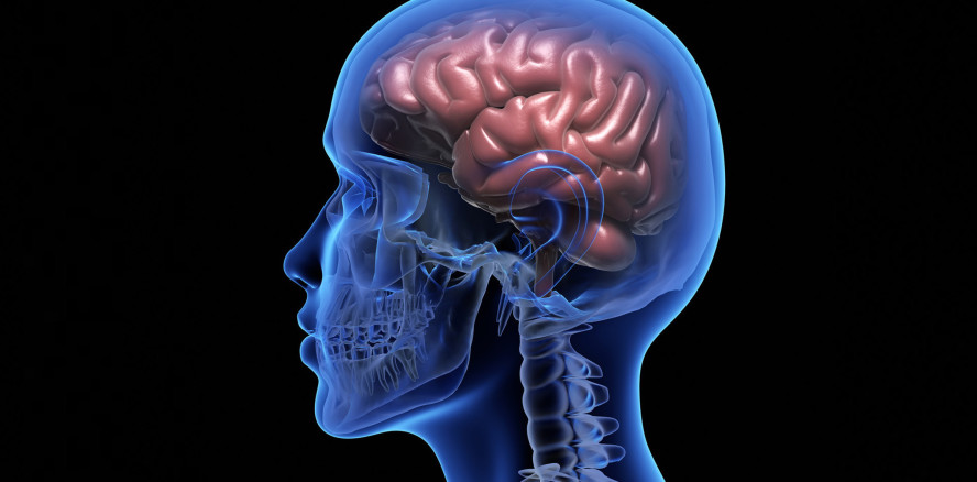 Zahnärztliche Therapie bei neurofunktionellen Störungen