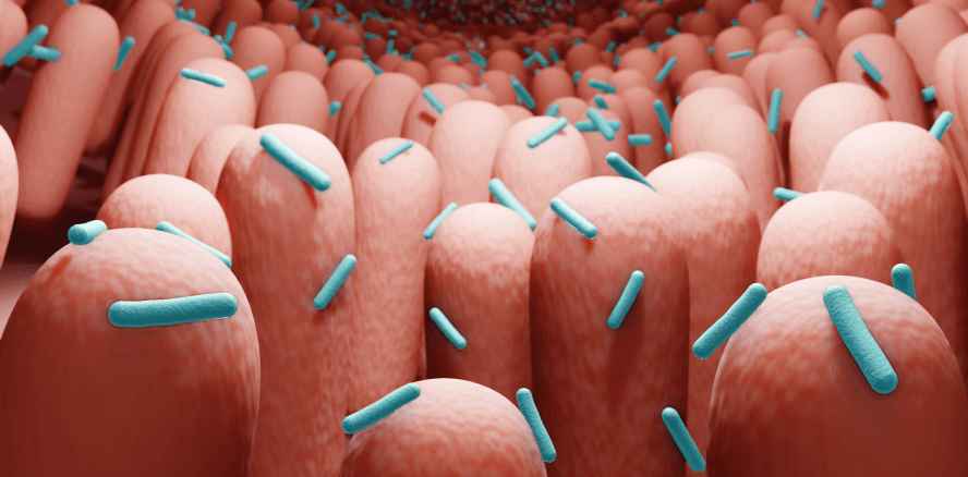 Antiinfektiöse Therapie – Taschen instrumentieren und das war’s?