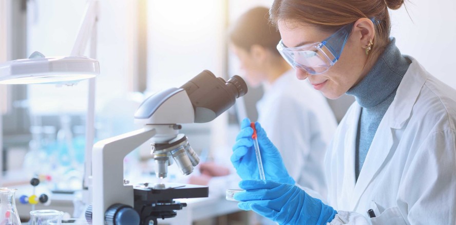 Studie: Antikörper und Schutz vor Corona-Infektionen