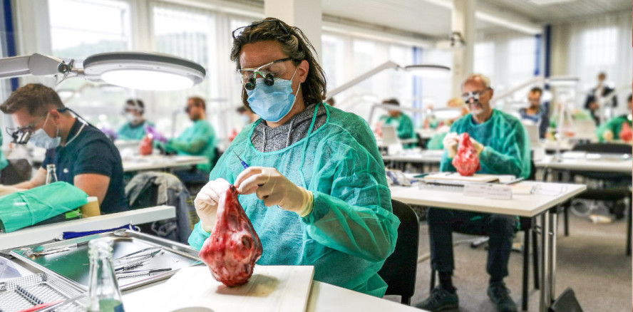 „The Bone sets the Tone and the Tissue is the Issue“