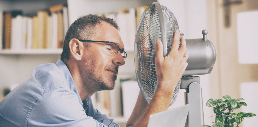 „Gefahr wird größer“ – Bündnis fordert Ausbau von Hitzeschutz