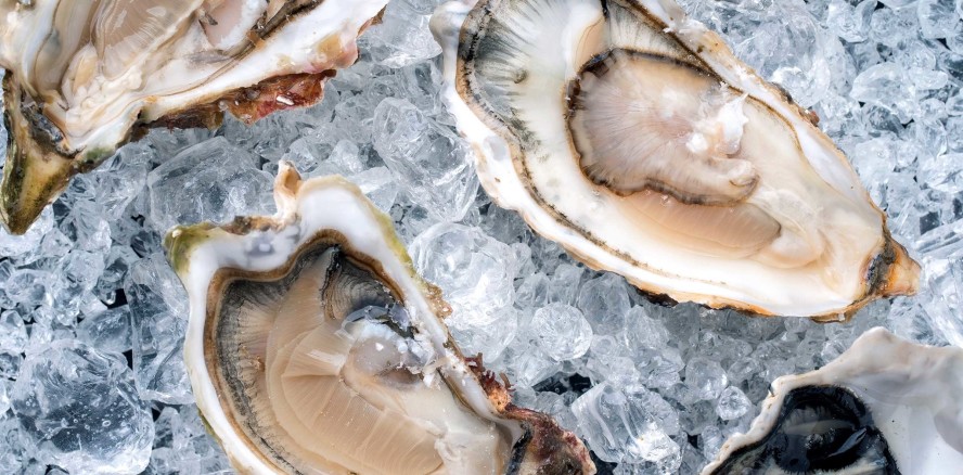 Austernkleber machen Implantate haltbarer