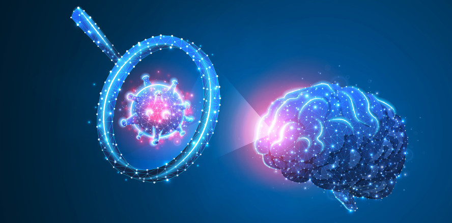 Long COVID: Veränderungen der Nervenzellen im Gehirn