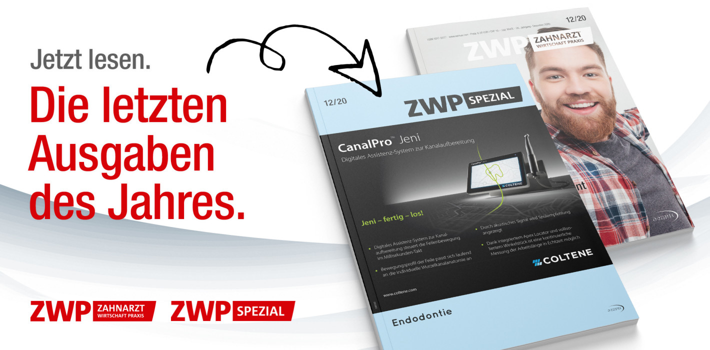 Vorab online: Vorweihnachtliches ZWP-Doppelpack ist da!
