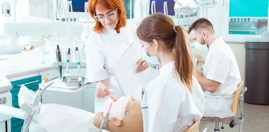 Brandenburg: 2024 beginnt der Studiengang Zahnmedizin