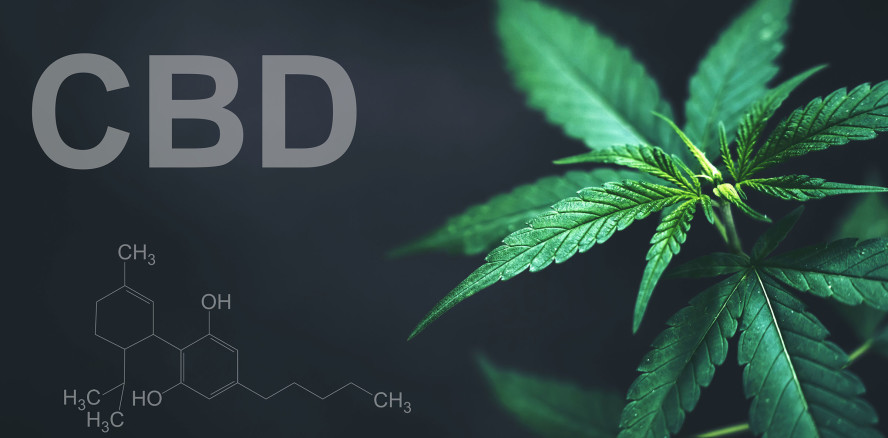 CBD lindert Zahnschmerzen und steigert Bisskraft