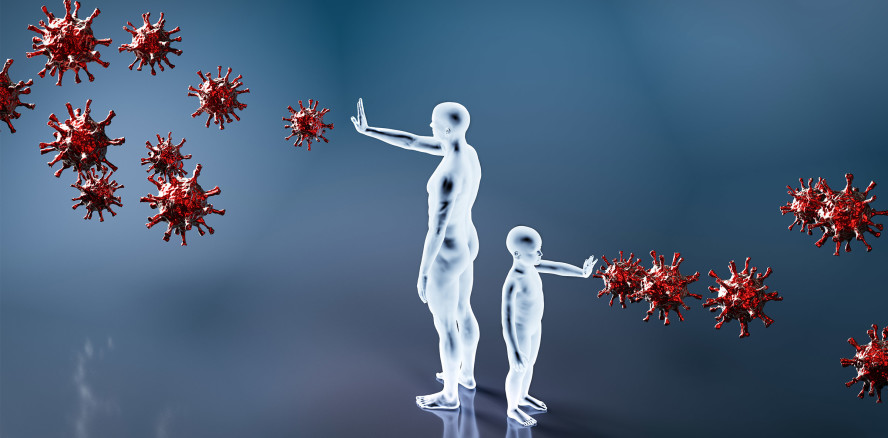 Antikörper harmloser Coronaviren können vor COVID-19 schützen