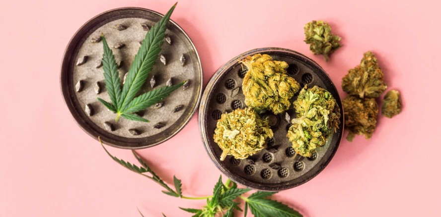 „Cannabis-Konsum schadet der Mund- und Allgemeingesundheit“