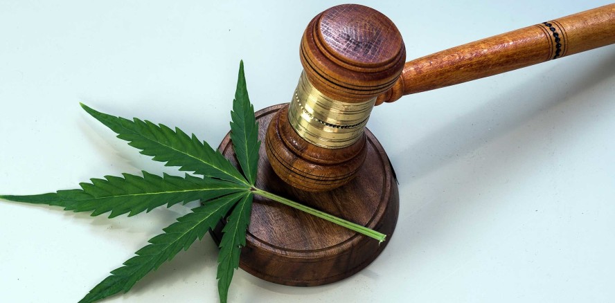 Cannabis-Legalisierung - sinnvoll oder gefährlich?