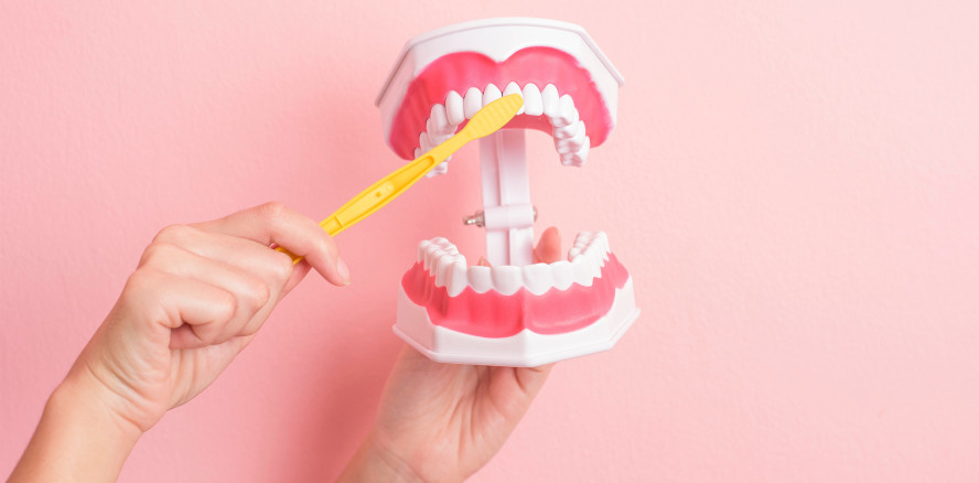 DG PARO ernennt erste zertifizierte Dentalhygienikerin