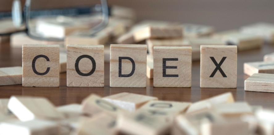 DGZMK verabschiedet Codex der Zahnärzteschaft